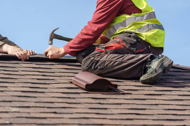Roof Gutter Cleaning in Utica, SC